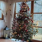 Rupicapra Mountain House Alpesi faház Kostel