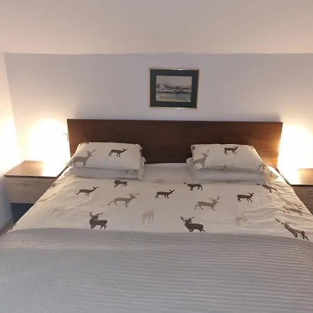 Rupicapra Mountain House 木屋 Kostel